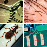 5Mega Pixel USB Digital Microscope with Measurement software for Windows/Mac/UVC, 10x-300x Magnifications, Handheld & Observation Stand